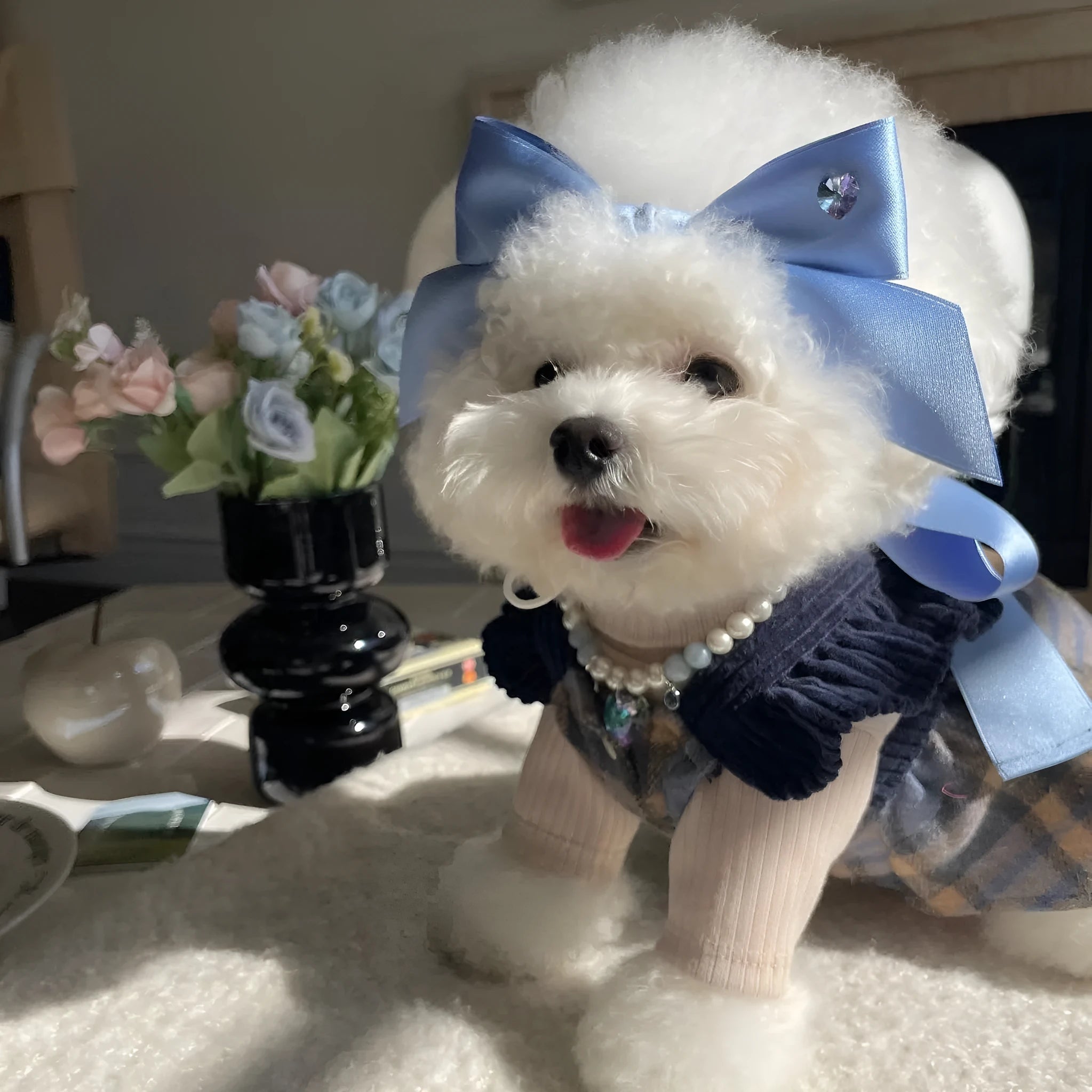 Blue princess style bow dog hair band with adjustable tension on a white background.