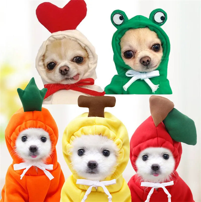 Fleece dog hoodie for small dogs with fruit design and drawstring, sizes XS to 2XL, winter warm pet clothes.