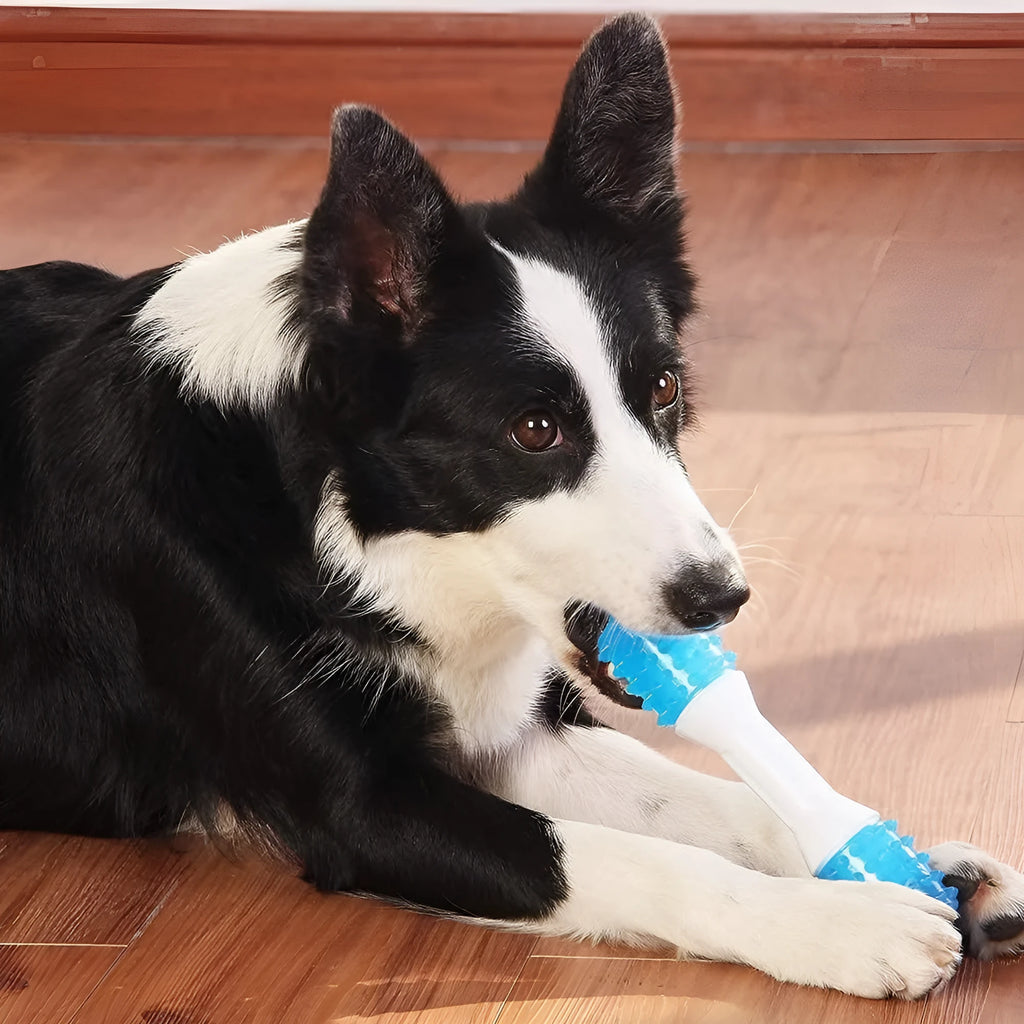 Dual-colour puppy teething chew toy in TPR rubber for dogs aged 2-8 months