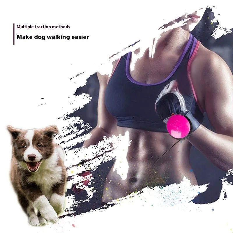 Automatic retractable dog leash with 3-metre nylon cord in multiple colour options