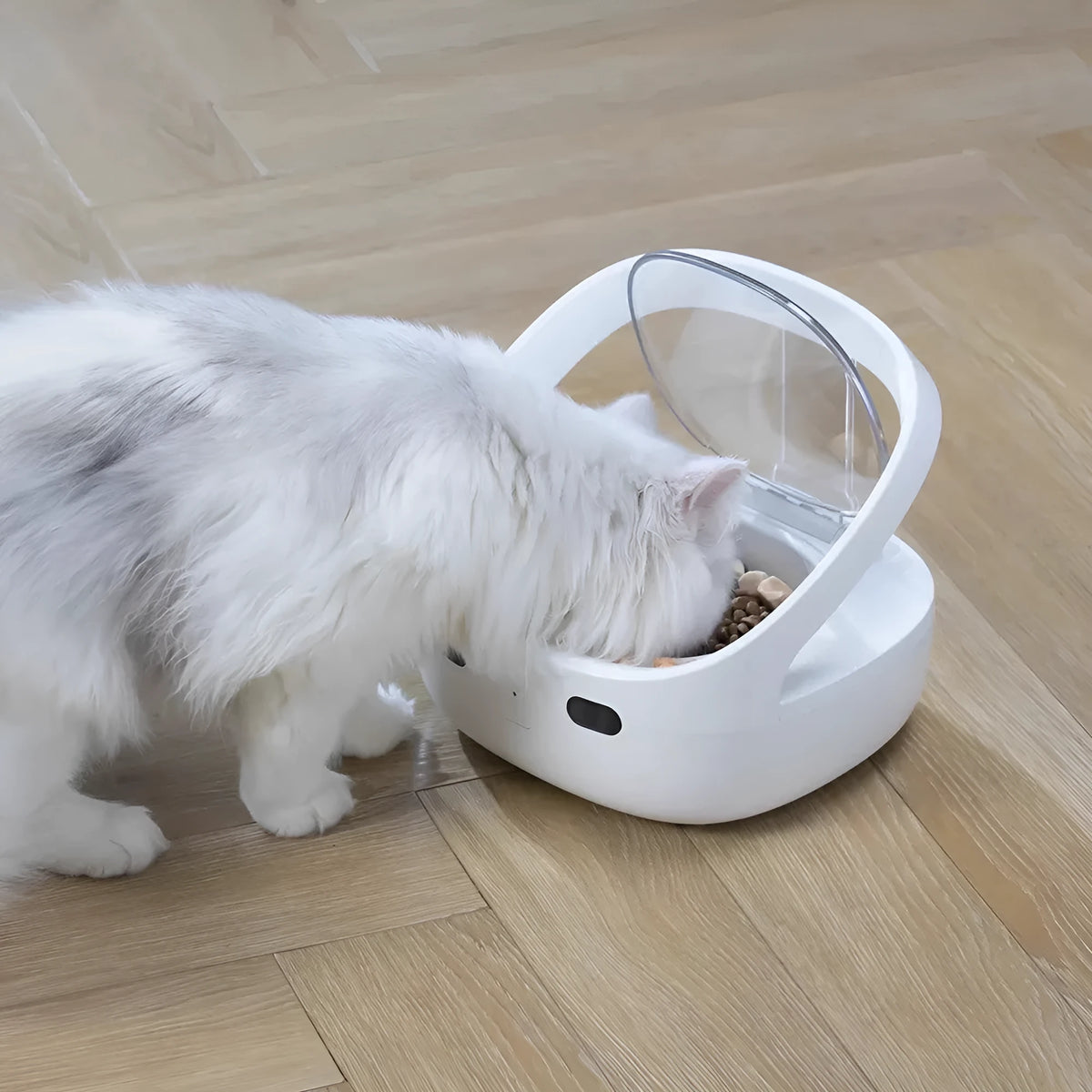 White NutriCare smart cat feeder with anti-stealing collar, food bowl, ice box, and charging cable set