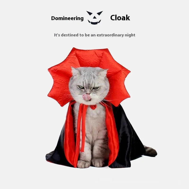 Black and red Halloween costume for cat or dog with European styling on pet mannequin
