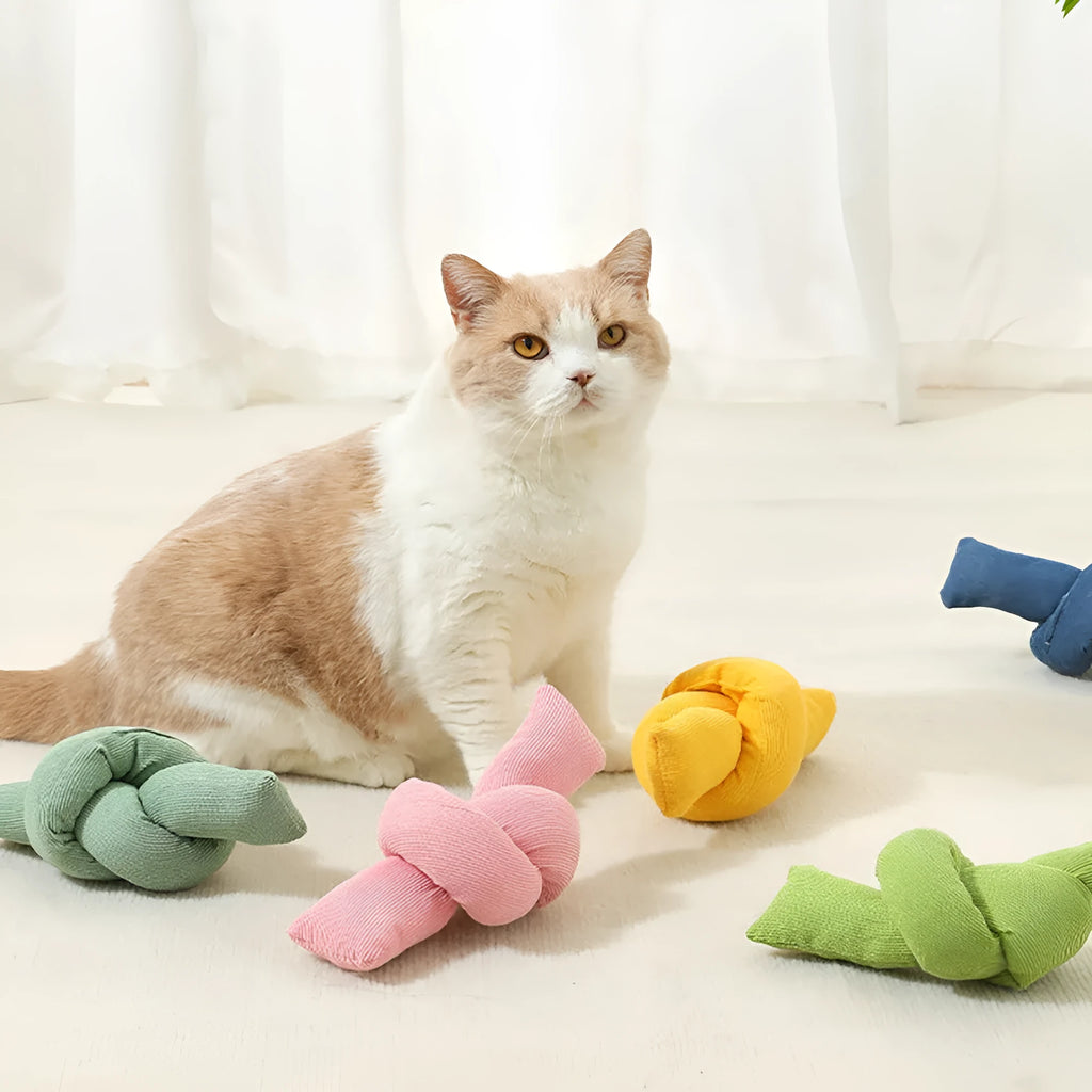 White natural cotton dog rope toy with sturdy knots for tug of war and chewing play