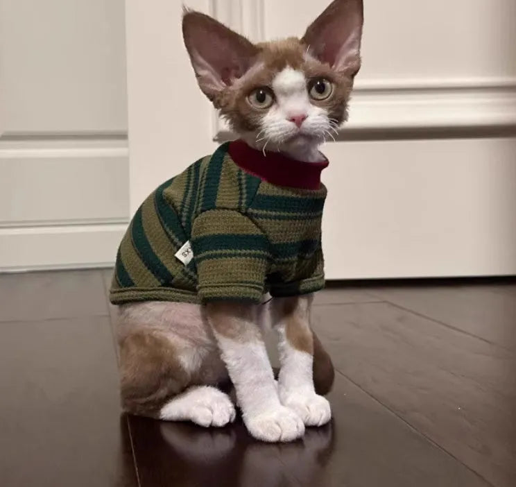 Green striped two-legged dog vest for small pets, autumn casual pet clothes with folded edges