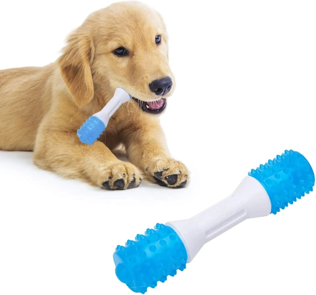 Dual-colour puppy teething chew toy in TPR rubber for dogs aged 2-8 months