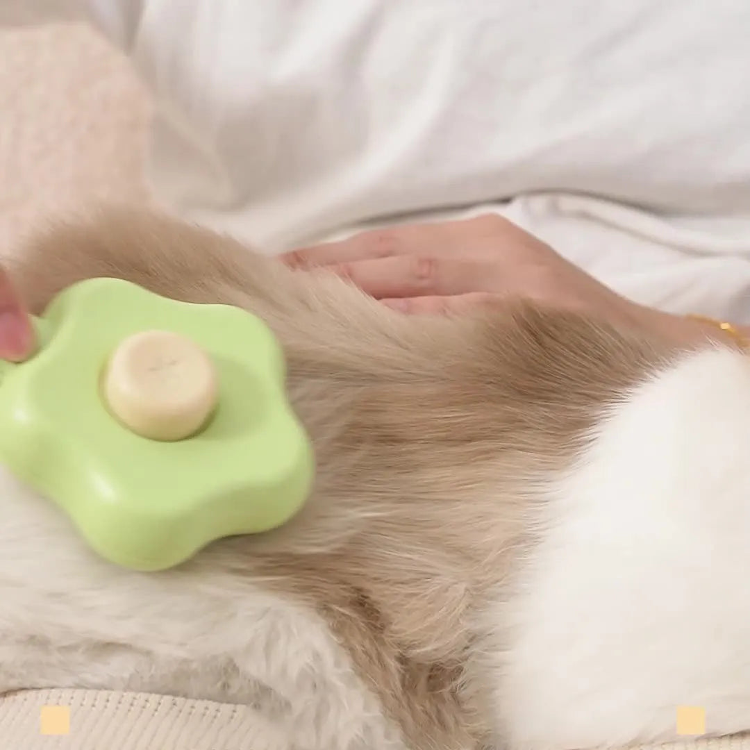 Self-cleaning pet grooming comb with stainless steel needles showing green colour option