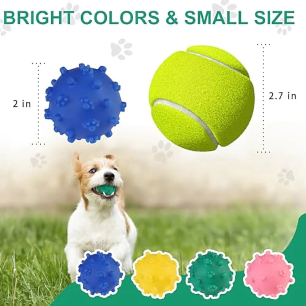 Four bright coloured spiky dog balls with paw print dimples, 2-inch diameter for small breed puppies
