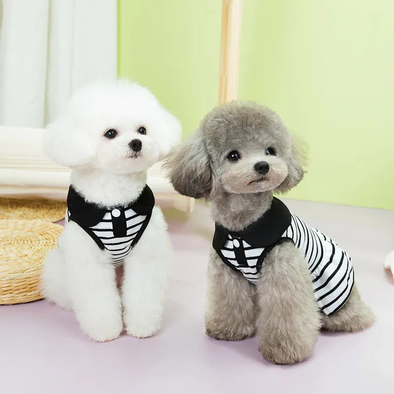 Pet dog wearing cotton stripes T-shirt and matching skirt summer outfit set