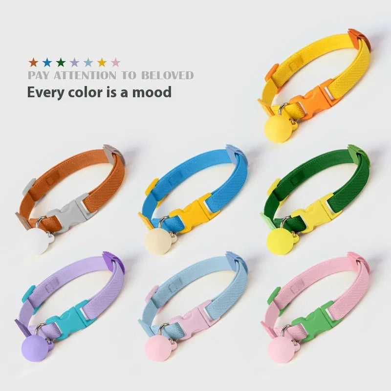 High elasticity polyester pet collar for small dogs in multiple colour options