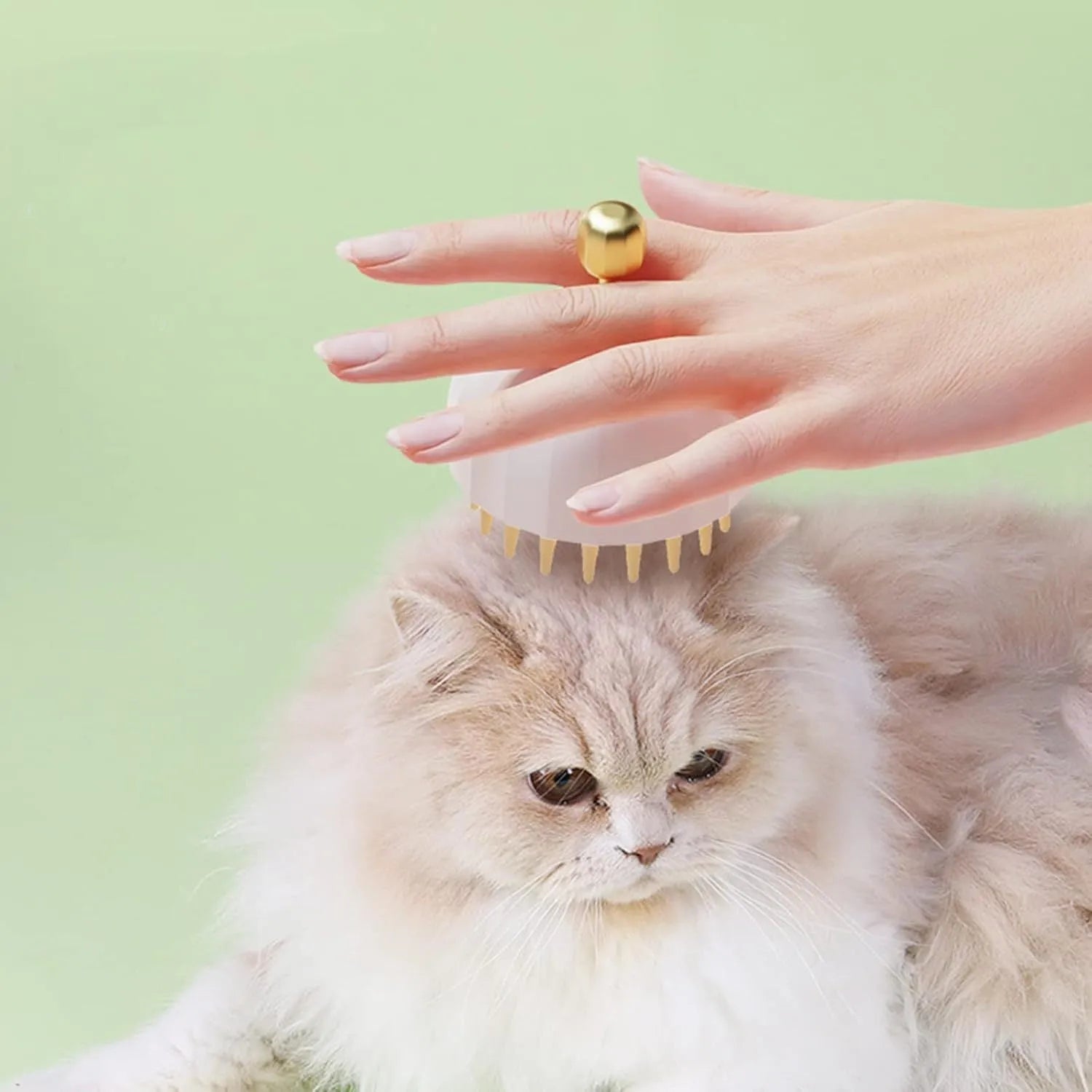 Green pet shampoo brush for dog and cat bathing with dual-sided design and water drain holes