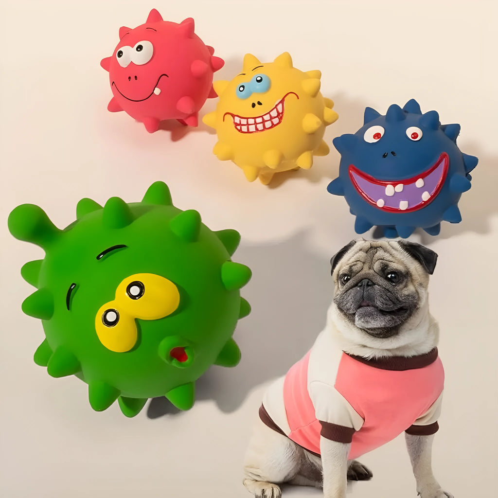 Set of four colourful natural latex squeaky dog balls with cute faces, shown with a dog.