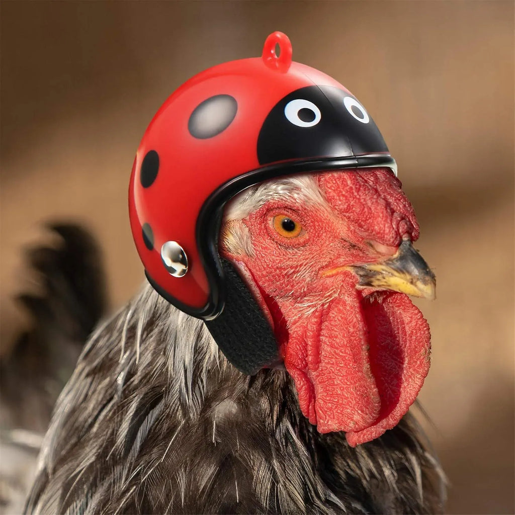 Small pet helmet for chickens and birds with adjustable elastic bands and sponge lining