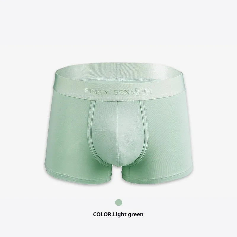 Men's solid colour cotton boxer shorts on a white background, showing available colours: black, white, silver grey, light green.