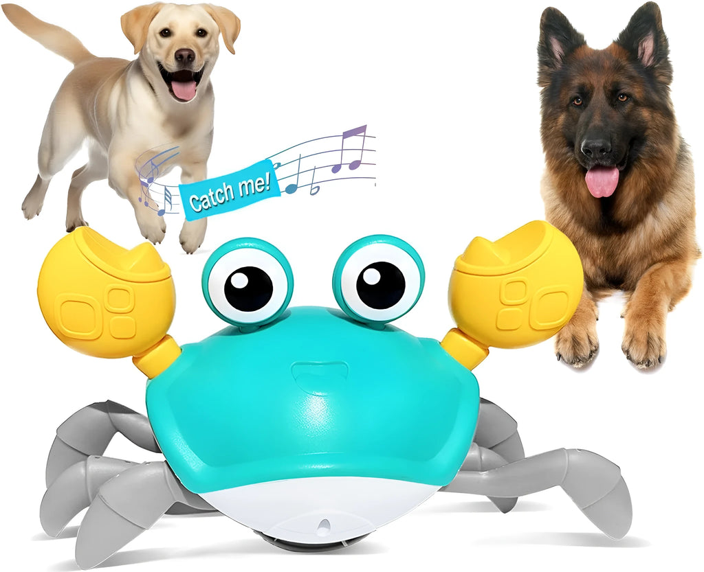 Blue or red electronic crab dog toy with obstacle avoidance sensors, shown moving sideways.