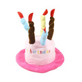Blue and pink dog birthday hat for toy dogs measuring 21cm wide