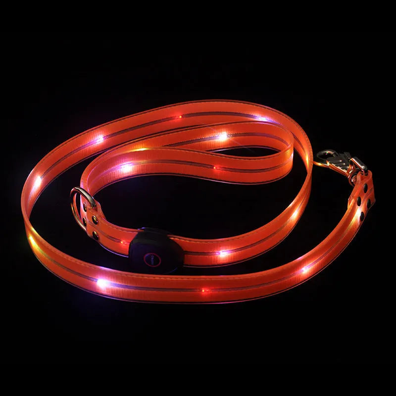 PVC dog leash and collar in orange, black, fluorescent green, or blue, showing 120cm length and hand-holding handle.