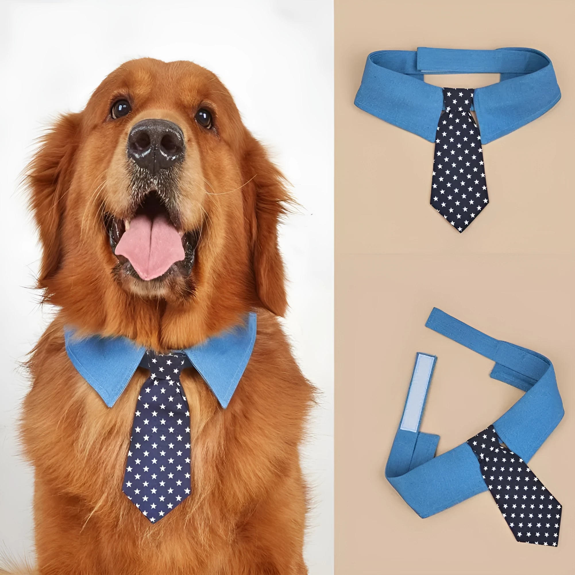 Adjustable denim dog collar with a star pattern necktie, shown in sizes S, M, and L.