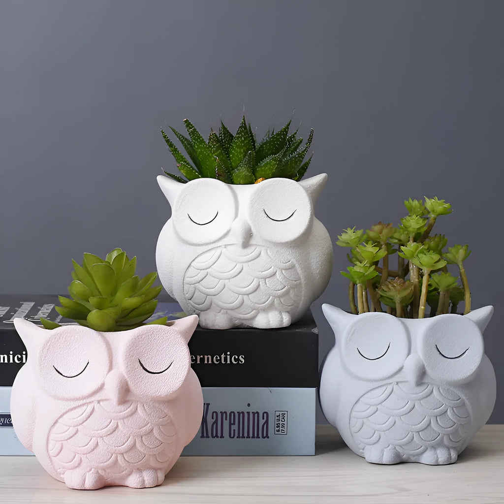 Handmade frosted ceramic flower pot with cartoon owl design for succulents.