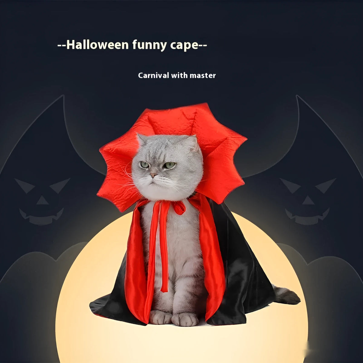 Black and red Halloween costume for cat or dog with European styling on pet mannequin