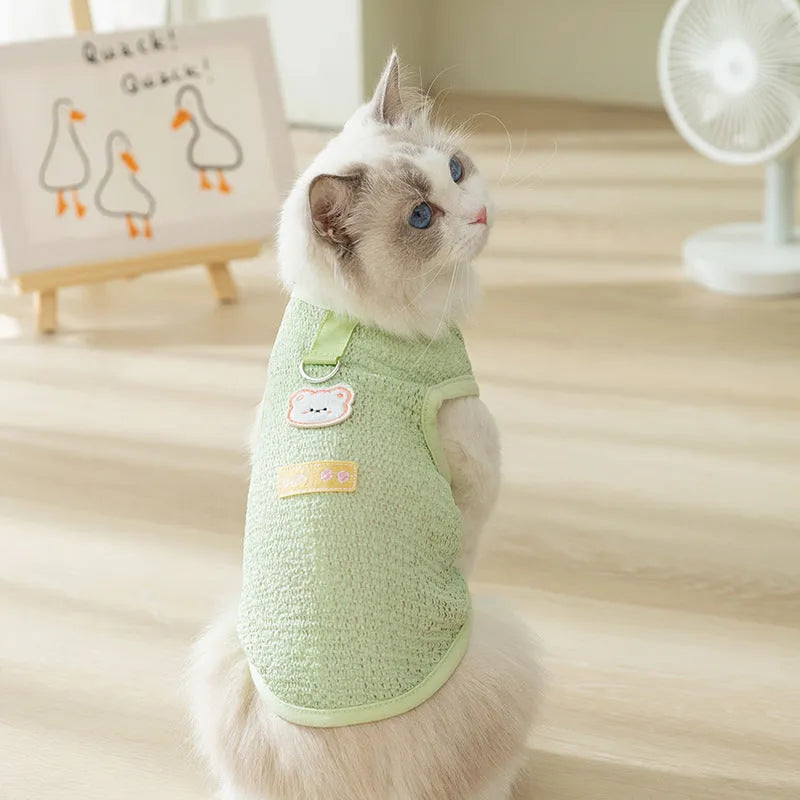 Cat wearing hollowed-out knitted clothes with bear patch design in blue colour
