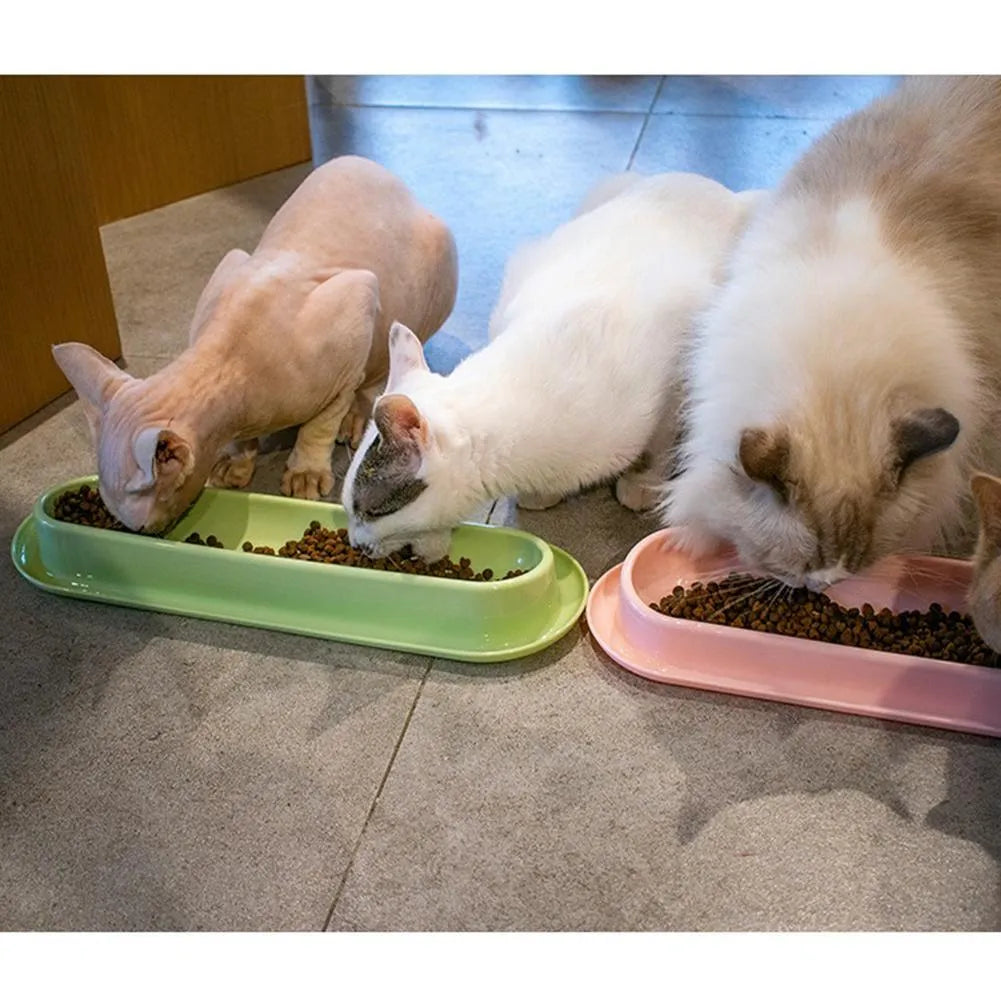 Green double-bowl pet feeder for dog food and water on a floor.