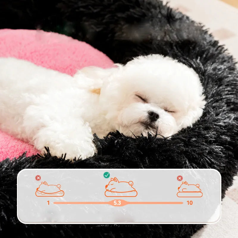 Elf Briquettes blue plush kennel-style dog bed with raised edges, shown in a home setting.