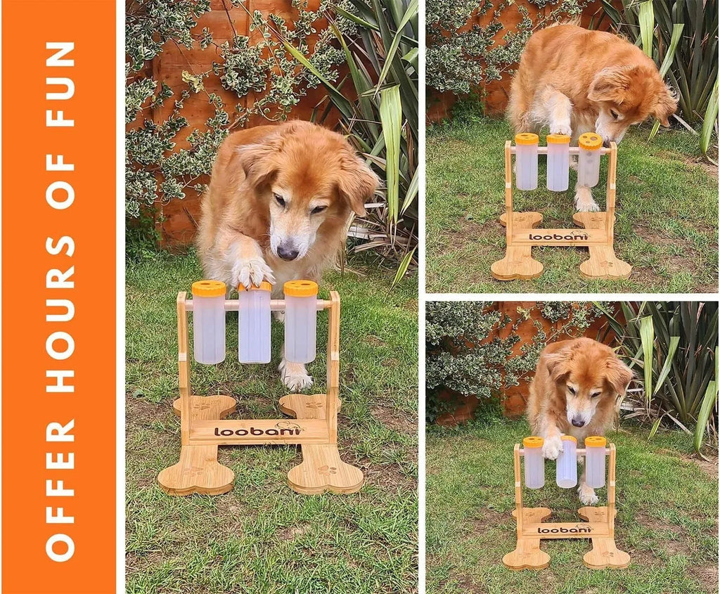 Wooden dog puzzle toy with sliding doors measuring 31x30x20cm for treat dispensing and mental stimulation