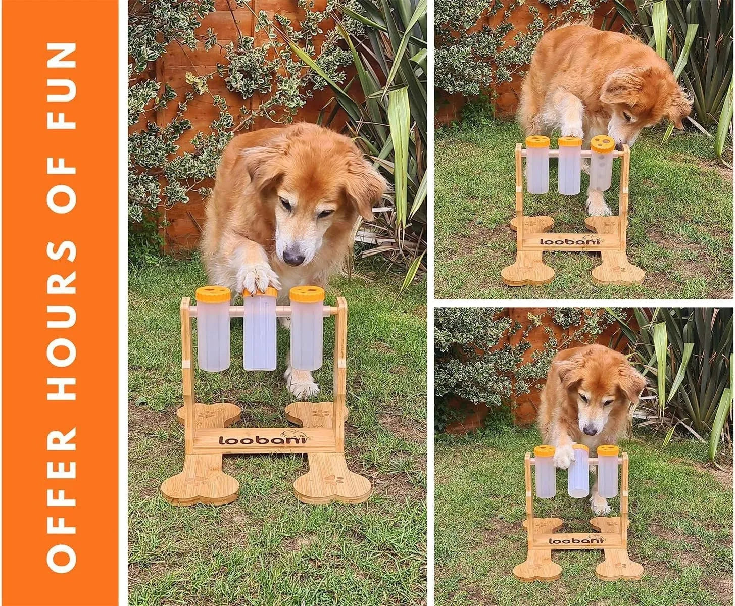 Wooden dog puzzle toy with sliding doors measuring 31x30x20cm for treat dispensing and mental stimulation