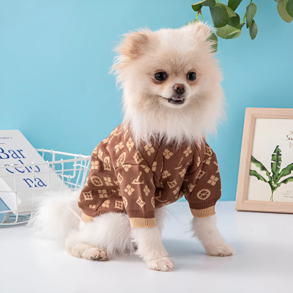 Thick wool dog sweater in autumn winter colours with European American styling