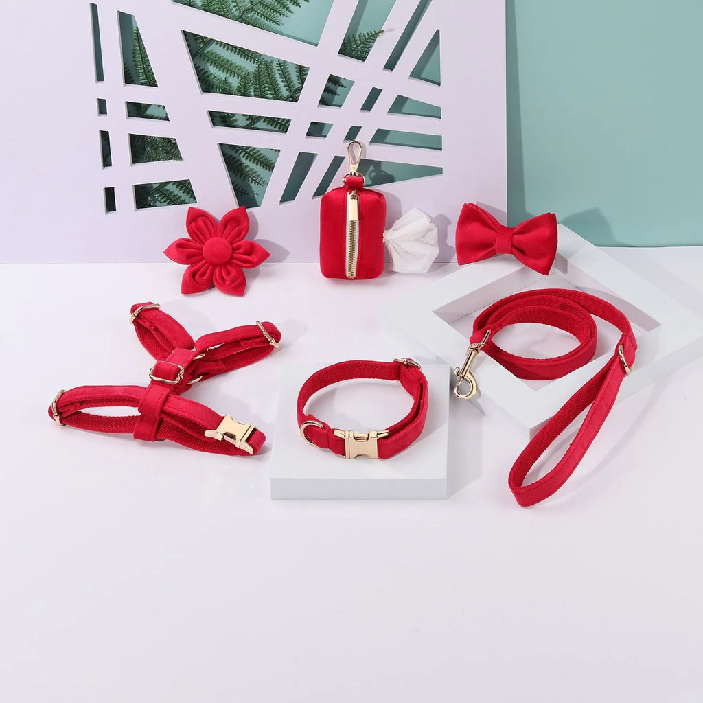 Velvet pet collar and traction rope set with chest strap and bow tie accessory