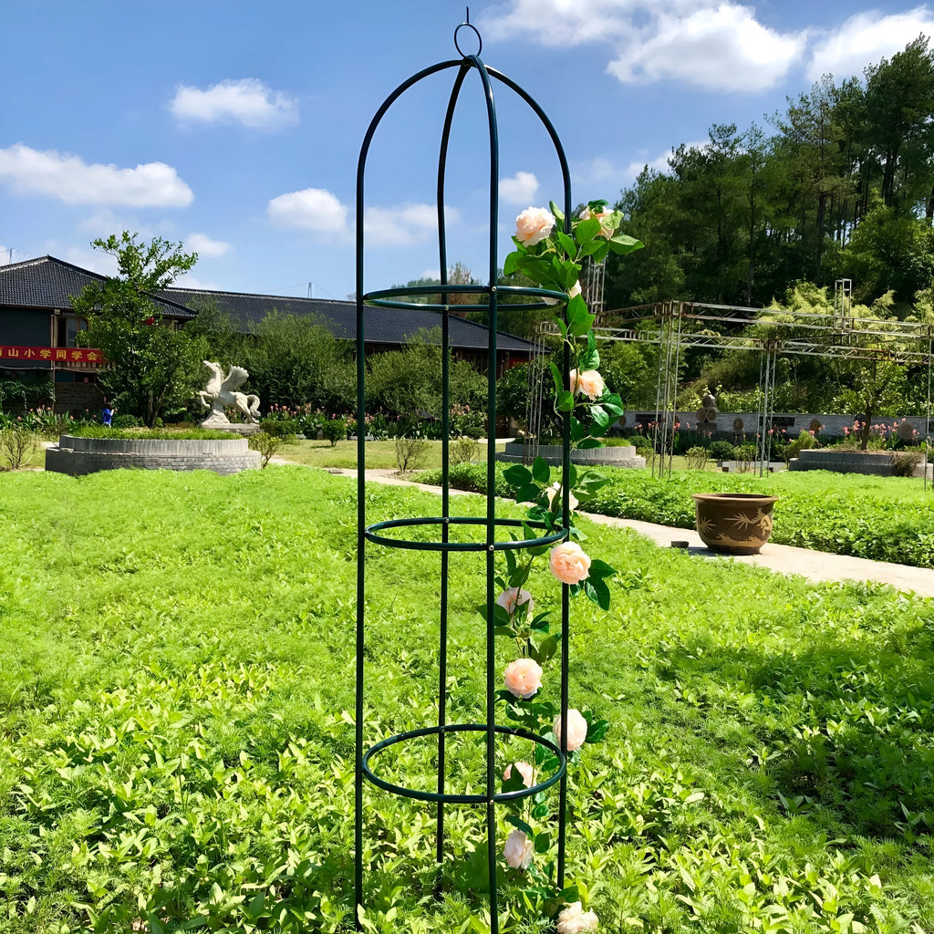 Dark green iron plant climbing frame with lattice design for indoor vine support