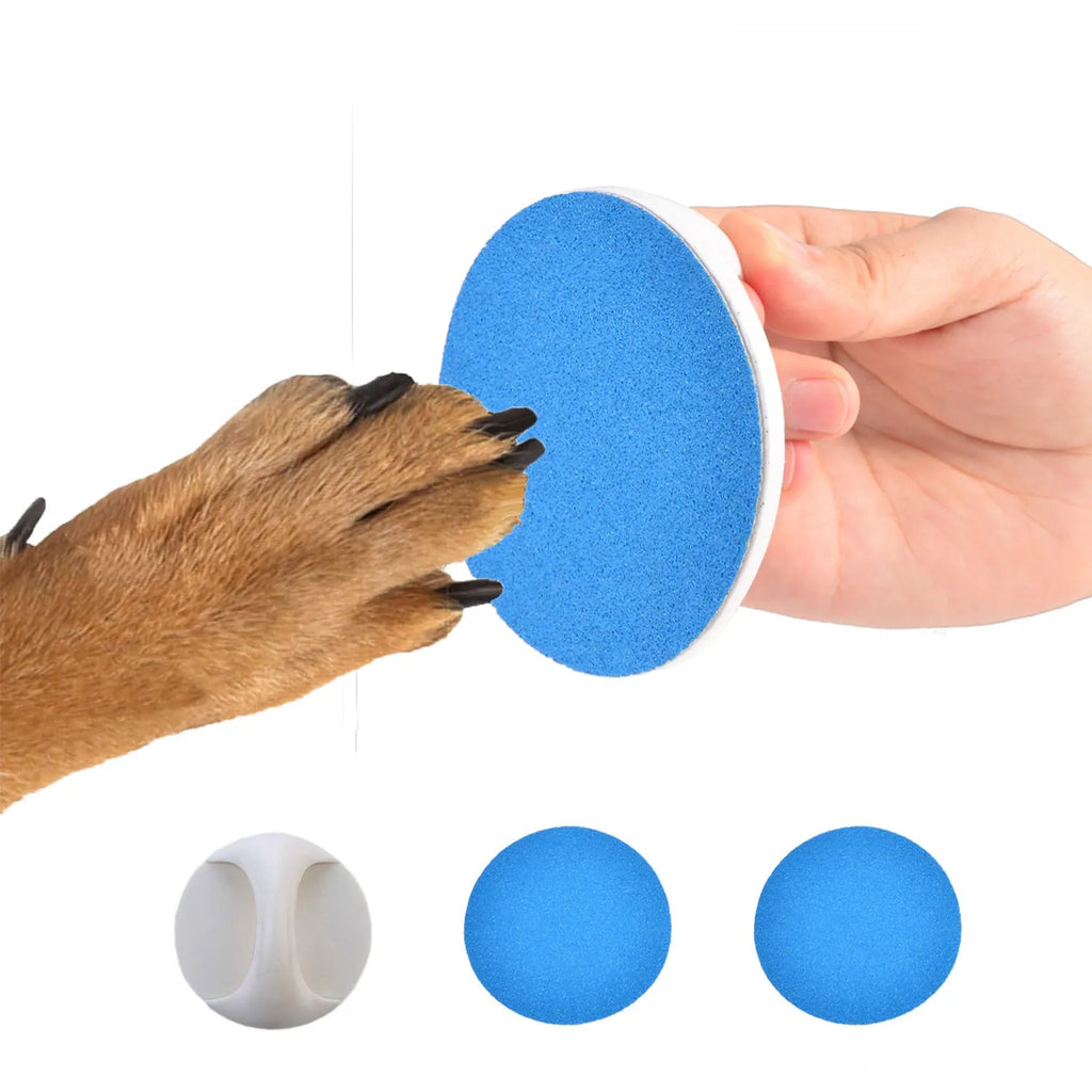 Dog nail scratch board with ergonomic handle in blue colour on white background