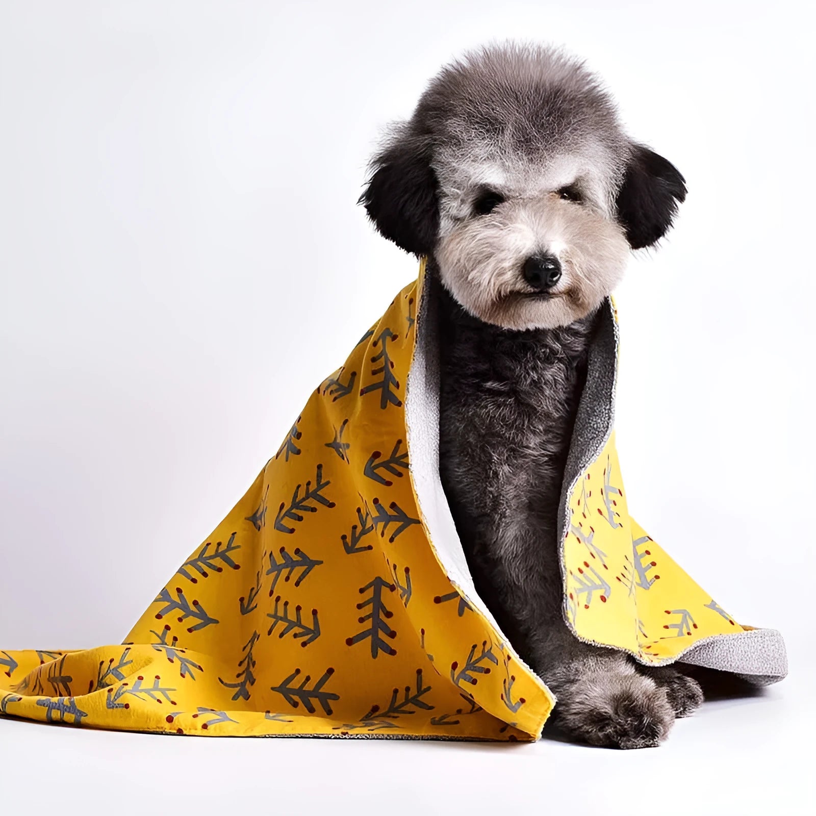 Double-sided cotton wool pet blanket in dinosaur pattern showing soft textured surface
