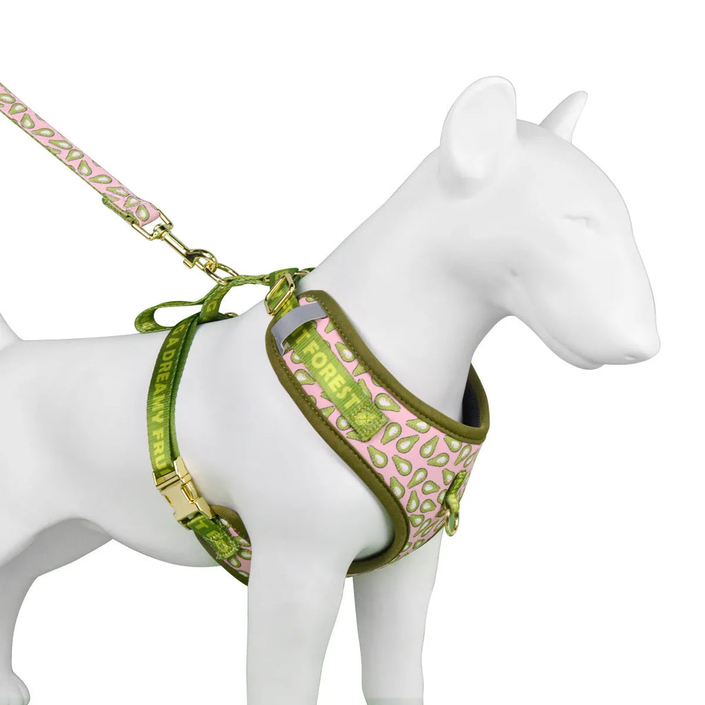 Adjustable chest-back dog haulage rope harness in six colour options for medium and large breeds
