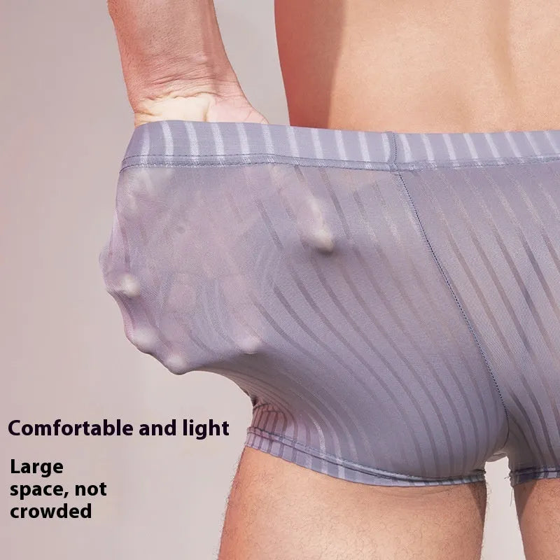 Men's striped underwear in thin transparent nylon fabric, shown in dark grey colour.