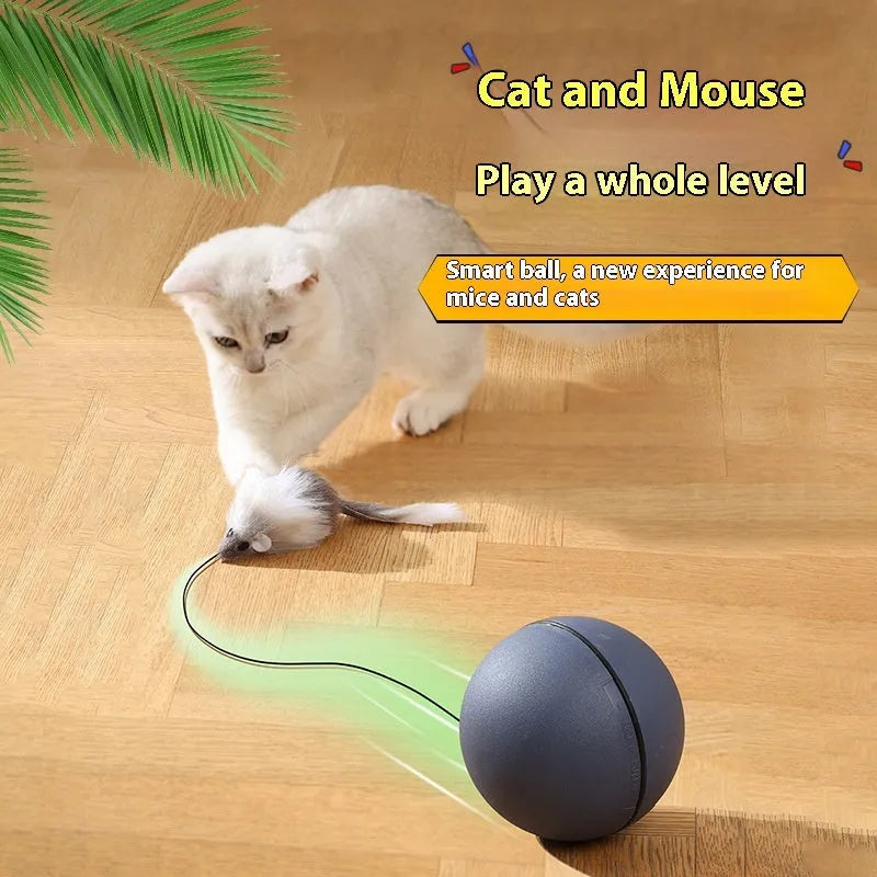 Automatic cat teasing ball toy with plush mouse attachment showing blue orange colour option