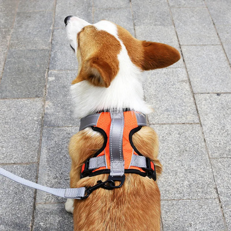 Polyester dog chest strap harness with hand holding rope in multiple colour options for medium large breed dogs