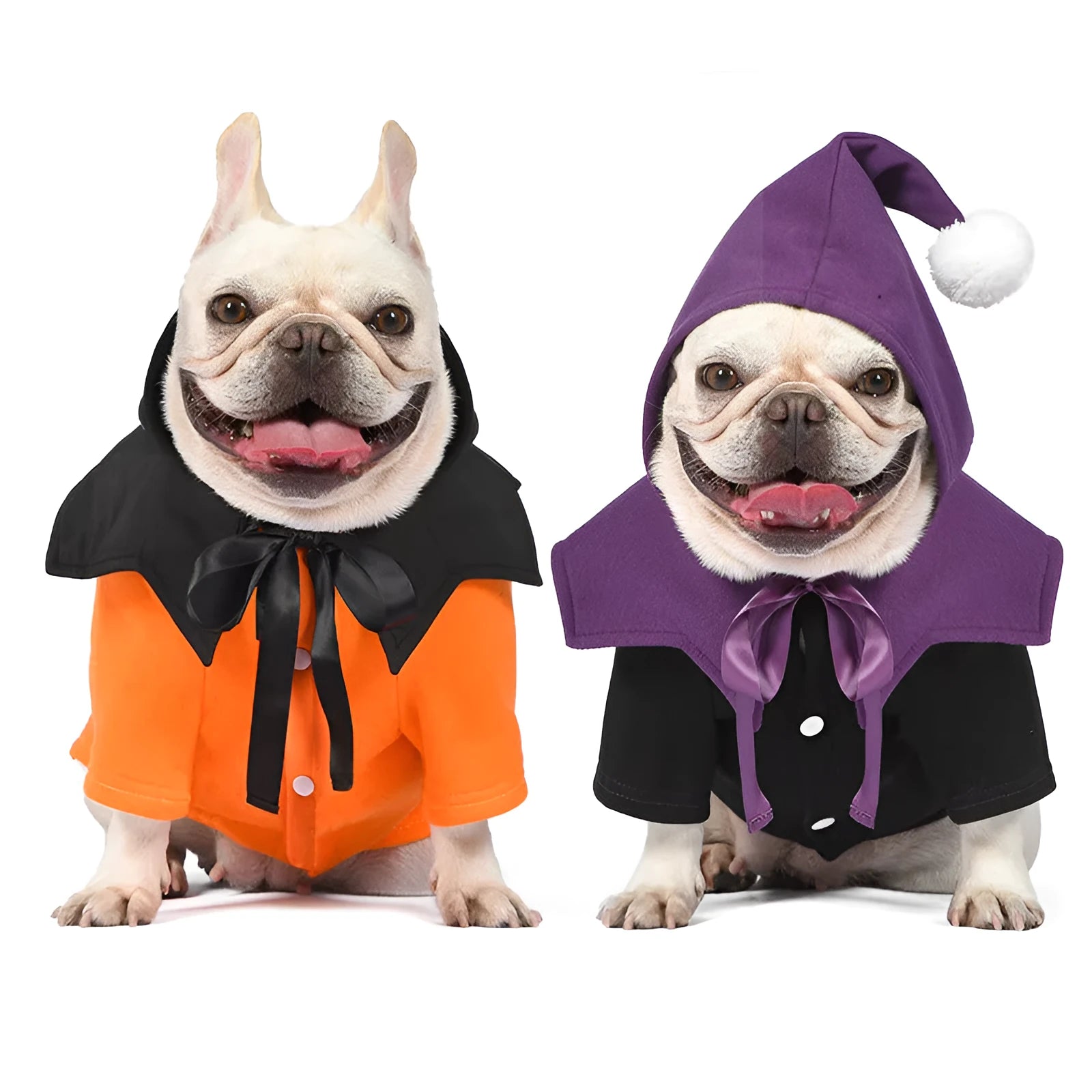 Black and orange Halloween pumpkin dog sweater and shawl set for dogs