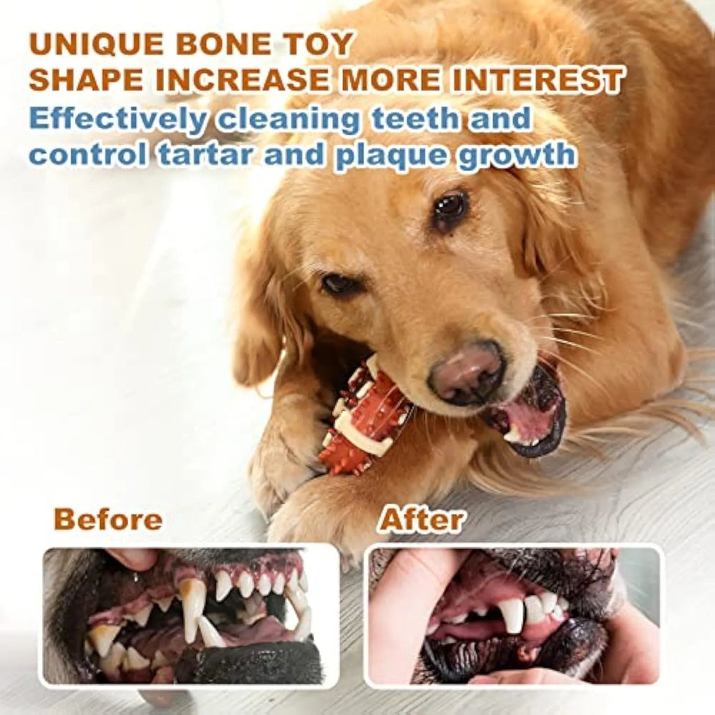 Natural rubber bone-shaped dog dental molar chew toy for teeth grinding shown in two size options