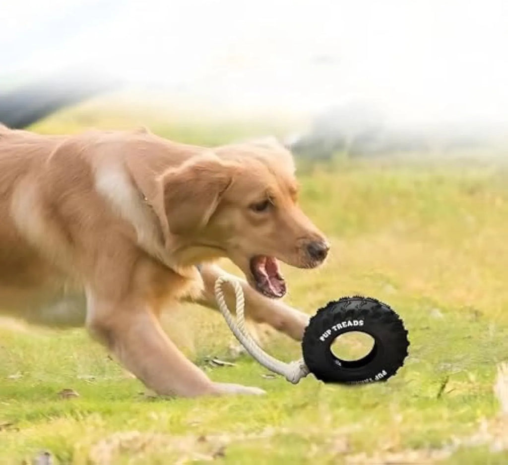 Natural rubber tyre dog chew toy with rope, 35cm, for aggressive chewers, in Black or Blue