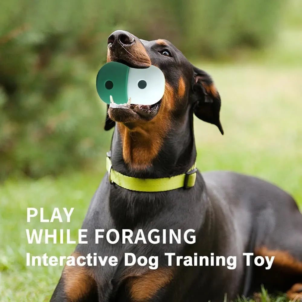 Food grade silicone dog treat puzzle toy for small medium dogs in four colour combinations