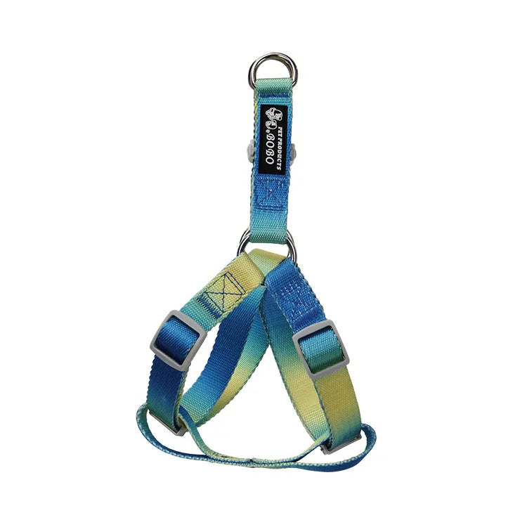 Gradient colour nylon dog lead and adjustable chest harness set for small or medium dogs.