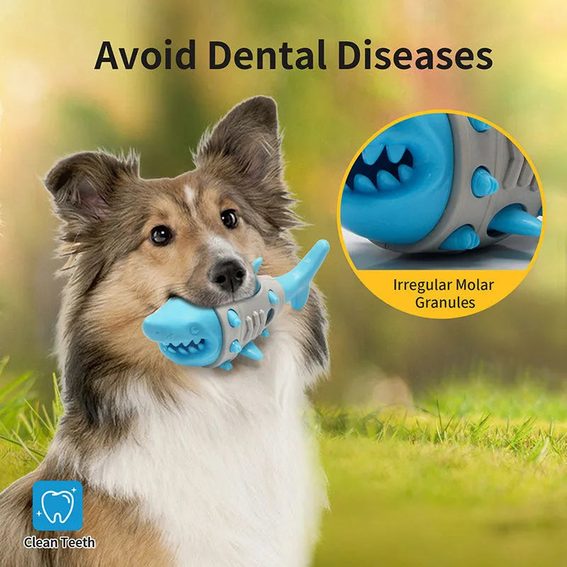 Shark-tooth textured dog teething toy in blue colour with bite-resistant material