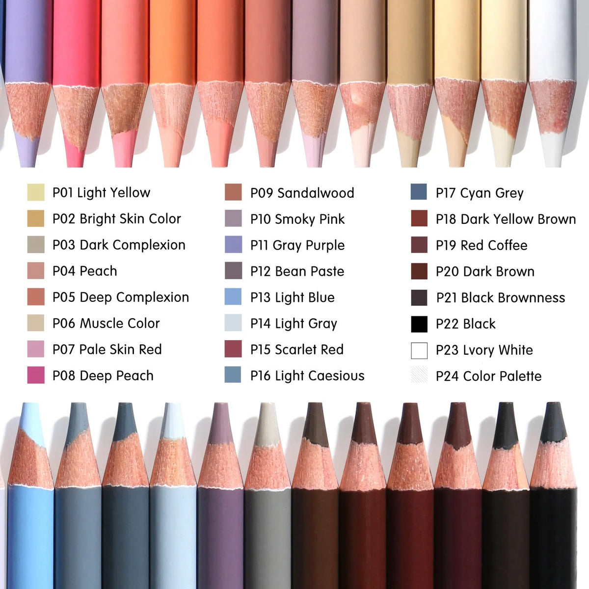24-colour skin tone portrait pencils in round iron box packaging for artistic portrait work