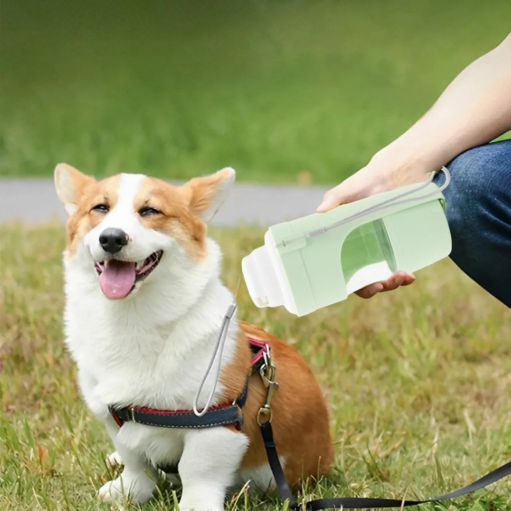 Grey portable 2-in-1 dog travel water bottle and feeder with detachable lanyard.