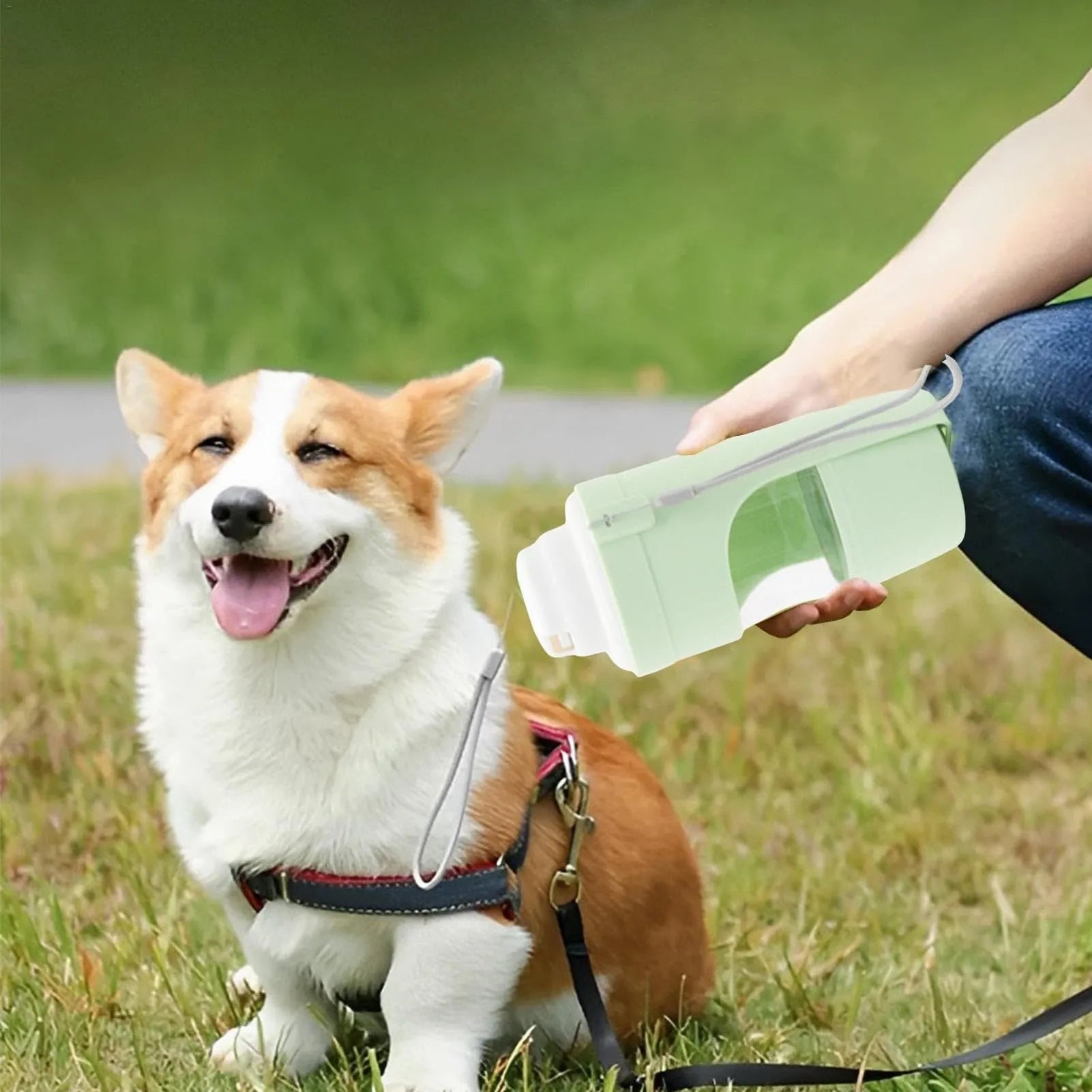 Grey portable 2-in-1 dog travel water bottle and feeder with detachable lanyard.