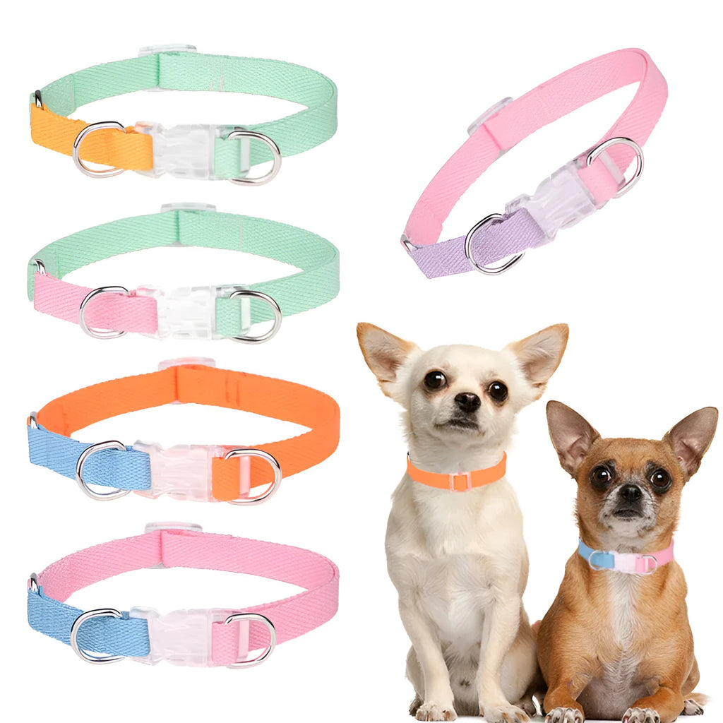 Polyester dog collar set with matching lead and harness in green-pink two-tone colour combination