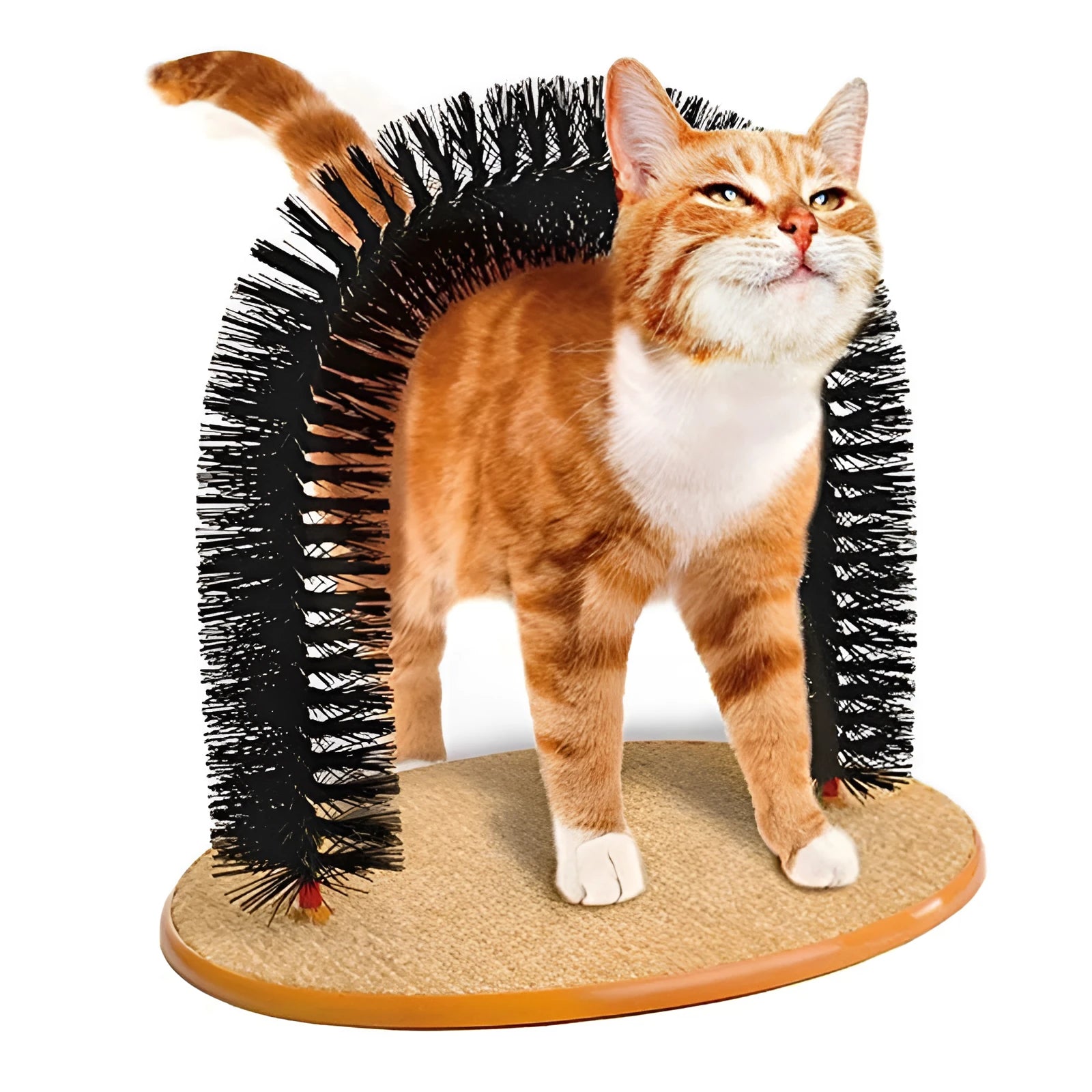 Arched plastic cat grooming toy with built-in brush bristles for scratching and self-grooming