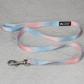 Gradient colour nylon dog lead and adjustable chest harness set for small or medium dogs.