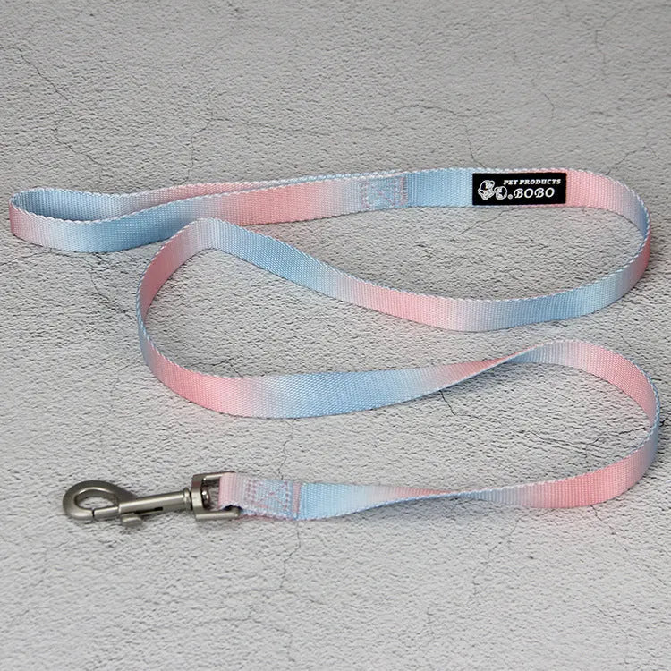 Gradient colour nylon dog lead and adjustable chest harness set for small or medium dogs.